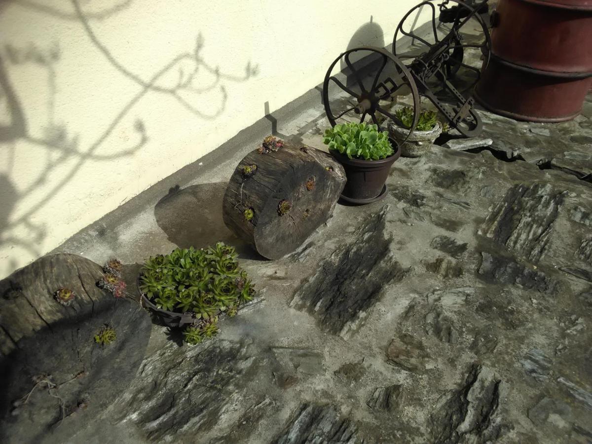 Apartmani Pinkum Veliko Gradiste Bagian luar foto