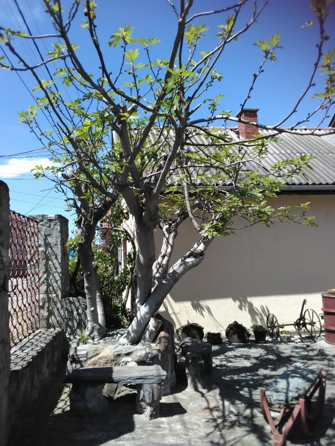 Apartmani Pinkum Veliko Gradiste Bagian luar foto