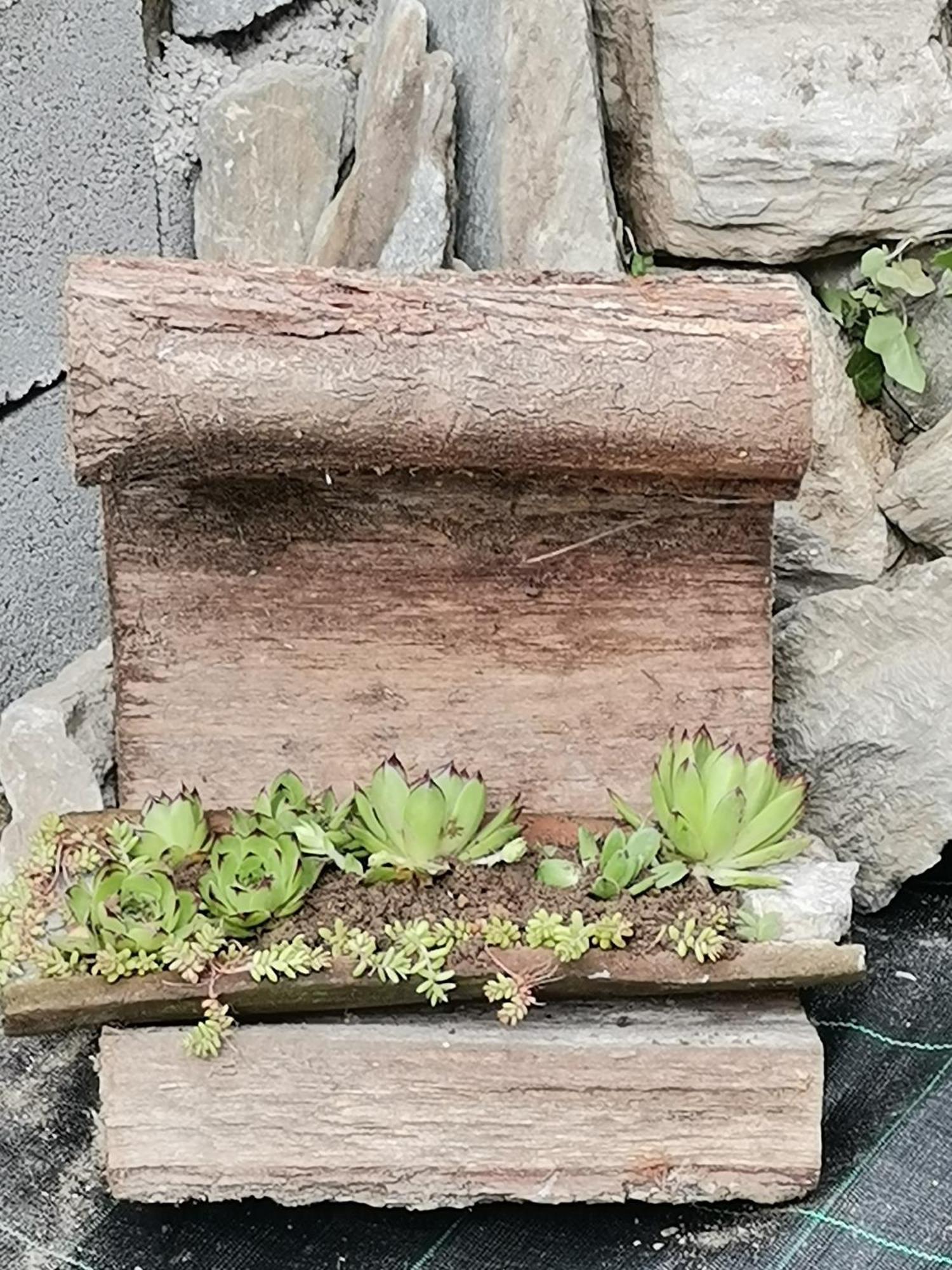 Apartmani Pinkum Veliko Gradiste Bagian luar foto
